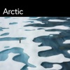 Arctic - Single