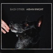 Aidan Knight - The Arp