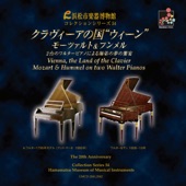 Sonate für Klavier  f-moll  Op.20: II.Adagio maestoso artwork