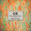 What Can I Say (feat. Andy Touch) - Single