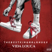 Vida louca artwork