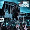 2Many Indictments