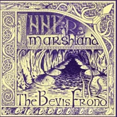 The Bevis Frond - Mediaeval Sienese Acid Blues