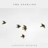 The Starling - Single album lyrics, reviews, download