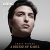 Samir Rohesh - Shaparak