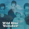 Stream & download Wild Blue Yonder