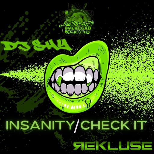 Insanity / Check It - Single by Rekluse, DJ Shy