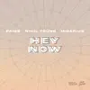 Stream & download Hey Now