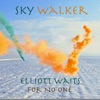 Sky Walker - Single, 2024