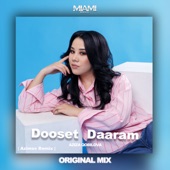 Dooset Daaram artwork