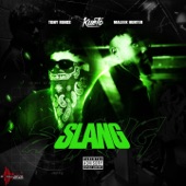 Slang (feat. Maleek Hunter & Tony Rings) artwork