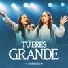 Tú eres grande - Single