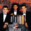 Acordeon Enamorado