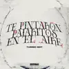 Te Pintaron Pajaritos (Turreo Edit) [Remix] song lyrics