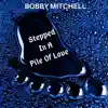 Stepped In a Pile of Love - Single album lyrics, reviews, download