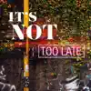 It's Not Too Late (feat. Shelly Moore) - Single album lyrics, reviews, download
