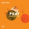 Pray (Monkey Safari Remix) - Single