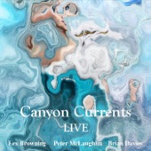 Canyon Currents - Wild Bill Jones (Live)