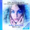 Ice (feat. Naëmi Tabitha) [Dan Winter Bootleg Mix Extended] song lyrics