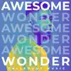 Awesome Wonder - Single album lyrics, reviews, download