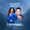 Illuminate (feat. Radics Gigi) - Single album lyrics, reviews, download