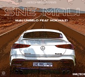 Sne Mali (feat. Nokwazi) artwork