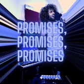Promises, Promises, Promises artwork