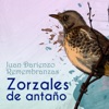 Zorzales de Antaño - Juan Darienzo - Remembranzas