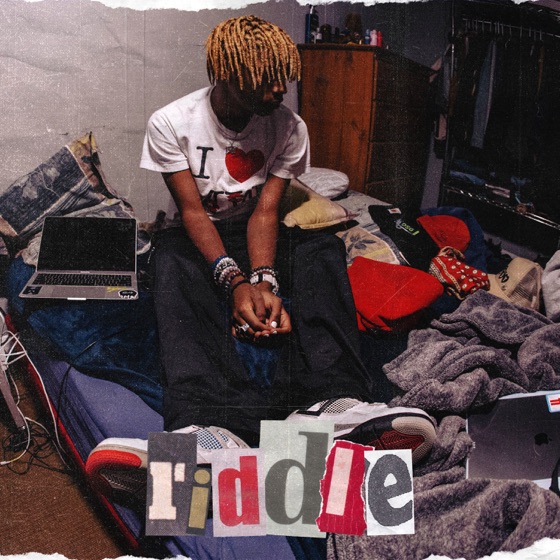 Cover artwork for riddle
