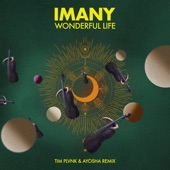 Wonderful Life (Tim Plvnk & Ayosha Remix) artwork