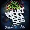What You See (feat. Stray & Skribbal) - Single album lyrics, reviews, download