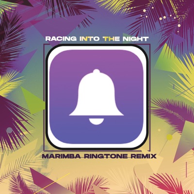 Ringtone the racing into remix night Descargar Racing