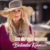 Zeg Mij Toch Waarom - Single