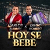 Hoy Se Bebe - Single