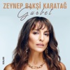 Gurbet - Single
