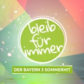 Bleib für immer (feat. Sebastian Winkler & Sascha Seelemann) [BAYERN 3 Sommer-Hit] artwork