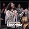 Llename - Single