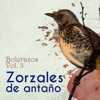 Zorzales de Antaño - Bolerazos, Vol. 3