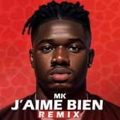 J'aime bien (Remix) artwork