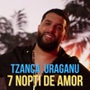 7 Nopti De Amor - Single