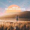 You Are My Sunshine - Single