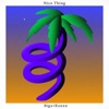Nice Thing - Single