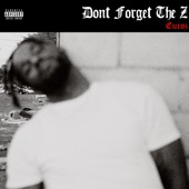Don't Forget the Z artwork