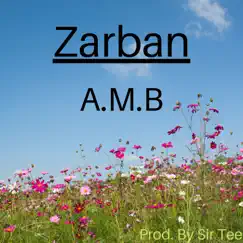 Zarban - EP by AMB album reviews, ratings, credits