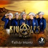 Fallido Intento - Single