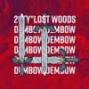 Lost Woods (Dembow Cover) - Single