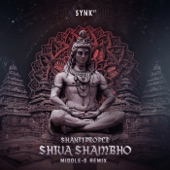 Shiva Shambho (Middle-D Remix) artwork