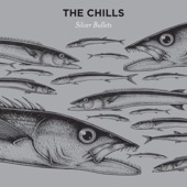 The Chills - Warm Waveform