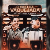 Chorei na Vaquejada artwork