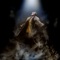 Hvis Jeg Forlot Verden - TIX lyrics